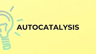 What is the meaning of the word AUTOCATALYSIS?