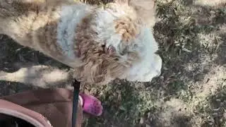 Prince training 01/16/26