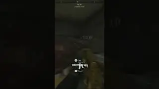 You Have To Try This SA-B Build in MW2