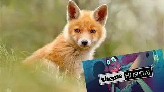 (Стрим) Theme hospital - Лечим или калечим?