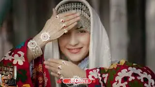 Top 10 Best Pashto Songs of All Time | Evergreen Pashto Hits Collection | Best Pashto Song Ever #yt
