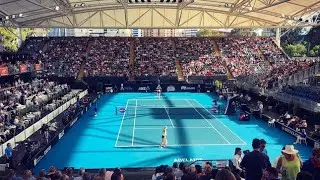 🎾ТЕНІСНІ ТУРНІРИ 🏆 НАСТУПНОГО ТИЖНЯ (12-18.01.26.) ✨ПРЕДСТАВНИЦТВО І ФАВОРИТИ