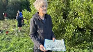 Arbor Day 2023