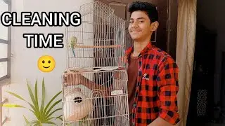 Aj budgies k cage ko clean kar dia 🙂