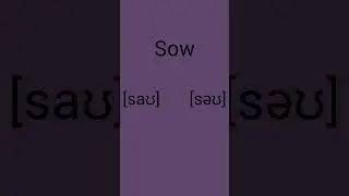 Как ты прочитаешь слово Sow? #sow #английский #английскийдляначинающихвзрослых