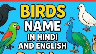 The Most HILARIOUS Bird Names