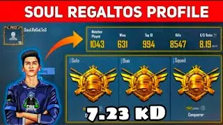 Soul Regaltos profile Id and kd profile in pubg mobile