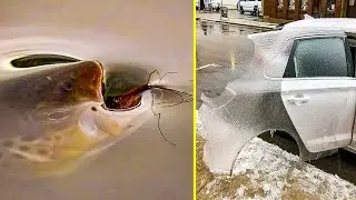 JUST-THE-RIGHT-MOMENT PHOTOS THAT TURNED OUT TO BE MASTERPIECES 「 BossDT 」