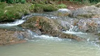 River Flowing, Tranquil Forest Soundscape for Sleeping and Relax