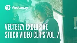 Vecteezy Exclusive Stock Video Clips Vol. 7