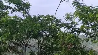 Ghatang road to chikhaldara 2021