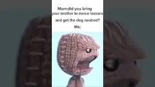 dog knows how to dance now🤷&zwj;♂️ #fypシ #memes #memearchive #viral #funny #dog #dance #famous #shorts