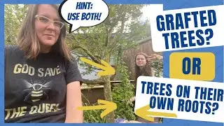Should We Use Grafted Fruits for Food Forests? Why Some of My Fruit Trees Are On Their Own Roots