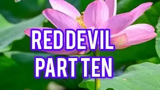 ബാറ്റൺ ബോസ് ക്രൈം ത്രില്ലർ റെഡ് ഡെവിൾ. Batten bose crime thriller red devil.