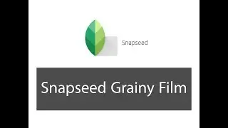 29-Snapseed Grainy Film