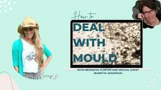 Day #378 ~ Bronie's World ~ Dealing with Mould after Major Floods March 2021
