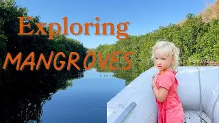 Pocket Catamaran Sailing Adventure: Exploring Mainland Mexico's Mangroves!