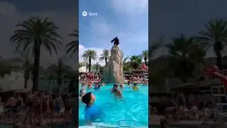 Gorilla Jumping into Pool! #animals #funny #wildlife