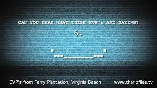 The R.I.P. Files: EVP Viewer Analysis
