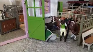 Rodeo Days