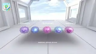 Immune regulation