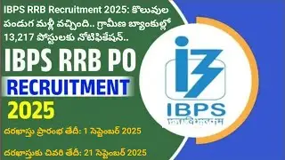 IBPS RRB JOBS 13127 VECANCY || ANY DEGREE || GOVT JOBS UPDATES 
