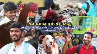 😘 Exploring Pallavaram Friday Market 😍/ #தமிழ் / 2024 / #pallavaramfridaymarket #vlog
