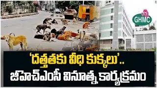 Hyderabad Street Dogs : దత్తతకు వీధి కుక్కలు.  Adoption Drive by GHMC | Oneindia Telugu