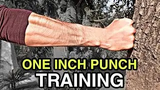 Тренировка One Inch PUNCH!