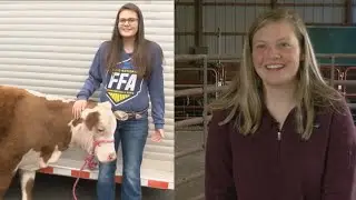 Students in Henry County win heifers in scholarship competition
