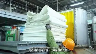 Bio Earth Technology-Eco-friendly Molded Fiber Containers  Manufacturing in Taiwan