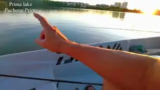 Prima lake fishing / Puchong Prima / Malaysia