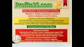 Profits25 com Полная презентация на русском проекта Profits 25