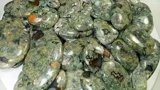 Rhyolite - Rain Forest Australian Jasper Wholesale Lots