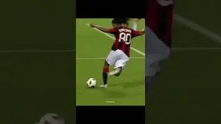 Brazilian skills