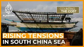 Shrinking fish stocks raise tensions in the South China Sea | Counting the Cost