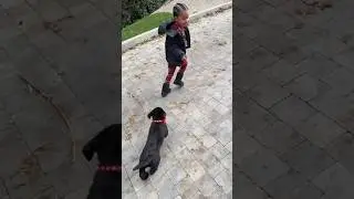 Khloe Kardashian's Kids Run From a Puppy - True & Tatum Thompson Funny Moment #shorts #shortsfeed