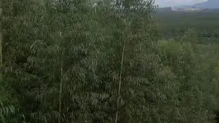 DJI Tello Altitude Test