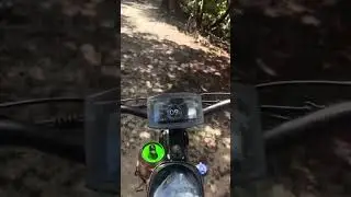 E-bike trails! Meditation! Dakeya 6000 nova 1! Fla! Swamp!