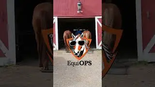 The All-In-One Solution for Nonprofit Equine Businesses
