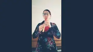 Cheap half plastic Chinese flute from Wish vs German style recorder