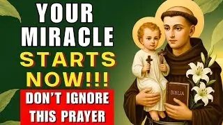 🙏 ВАШЕ ЧУДО ЗА СЧИТАННЫЕ МИНУТЫ, ВАШЕ ЧУДО НАЧИНАЕТСЯ СЕЙЧАС, НЕ ИГНОРИРУЙТЕ ЭТУ МОЛИТВУ СВЯТОГО ...