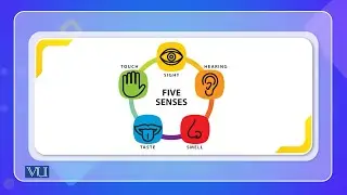 Piaget Stages of Cognitive Development | Cross Cultural Psychology | PSY515_Topic075