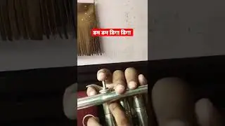 डम डम डिगा डिगा.Learn In Trumpet #learntrumpet #trumpet #trumpetmusic #music