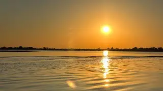 Cruising the Chobe National Park in 🇧🇼 Botswana 🇧🇼 