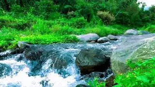 Water Sounds For Study & Focus, Therapy Sound, River Flow