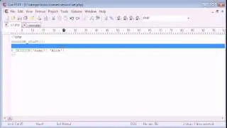 Beginner PHP Tutorial   73   Setting PHP Sessions