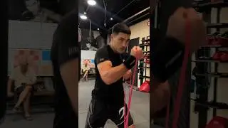Bivol - Work tirelessly!
