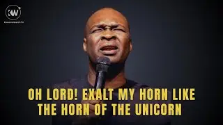 OH LORD! EXALT MY HORN LIKE THE HORN Of THE UNICORN - Apostle Joshua Selman
