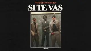 SI TE VAS - Tainy, Yandel, SAINt JHN  (Official Audio)
